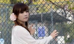 捡麻豆,探寻自然之美与生活灵感