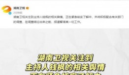 娱乐圈吃瓜爆料文案模版,明星背后的那些事儿